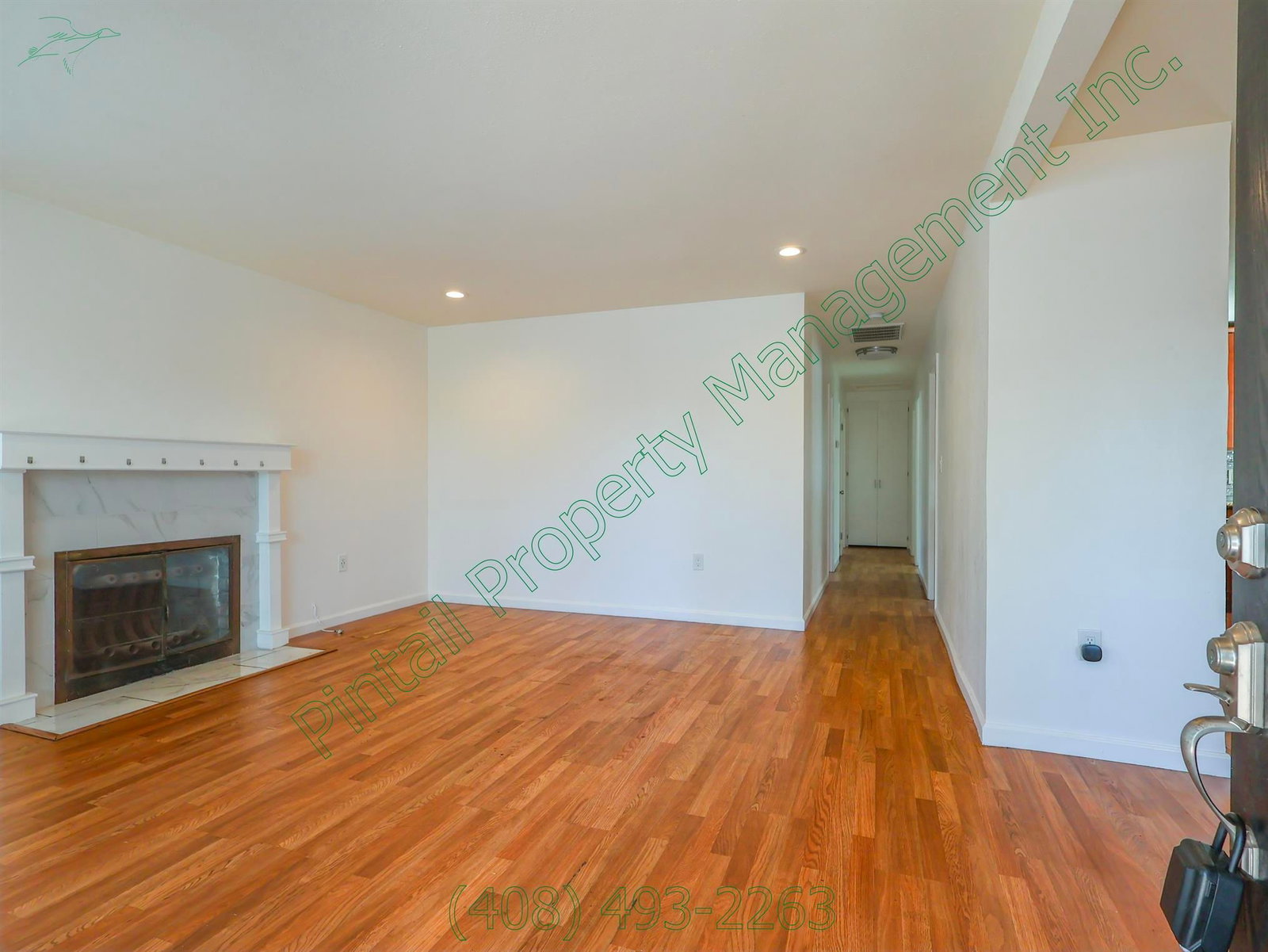Gallery Image 0
