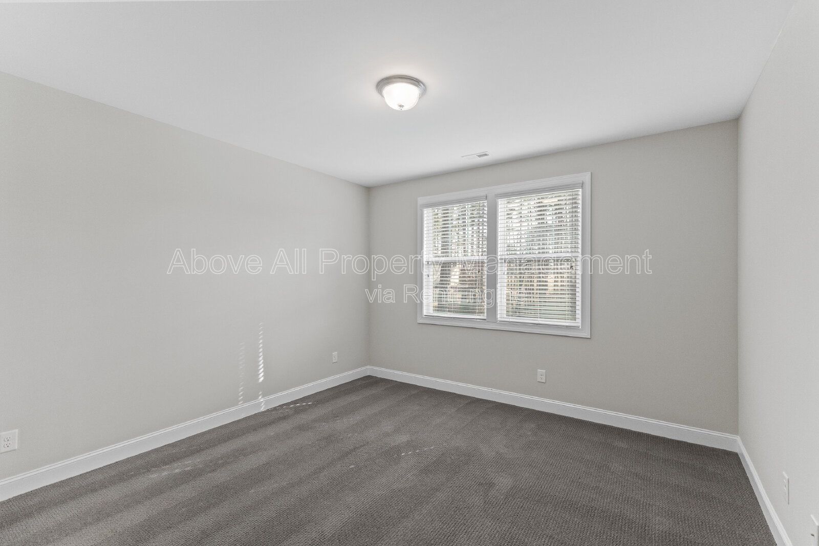 Gallery Image 51