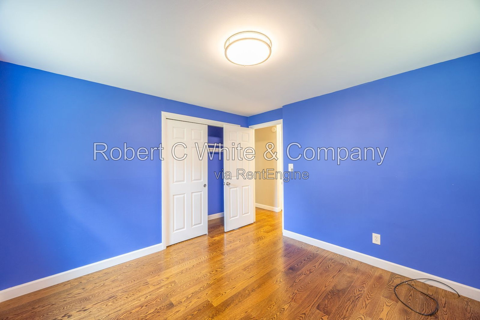 Gallery Image 19