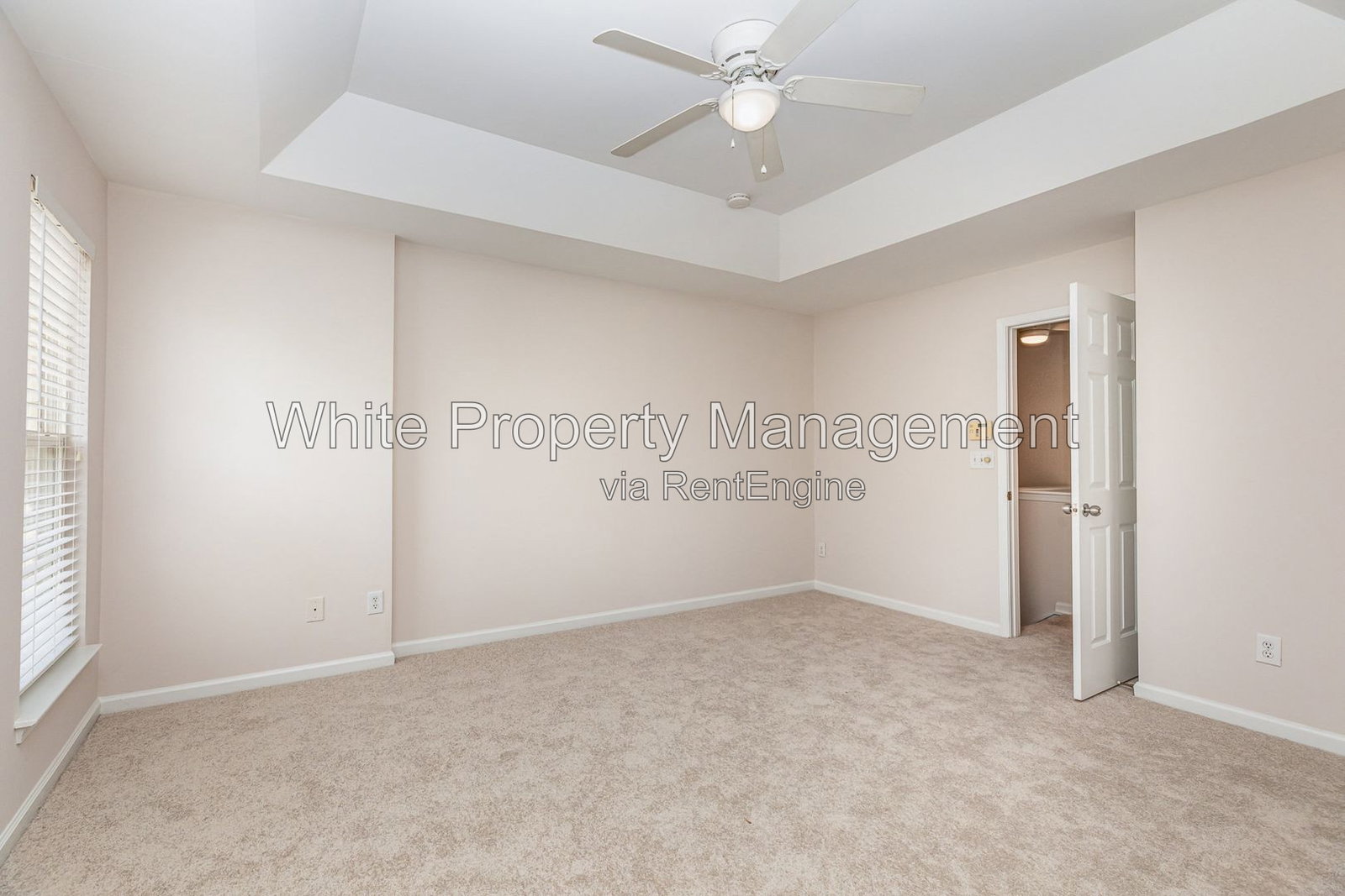 Gallery Image 19
