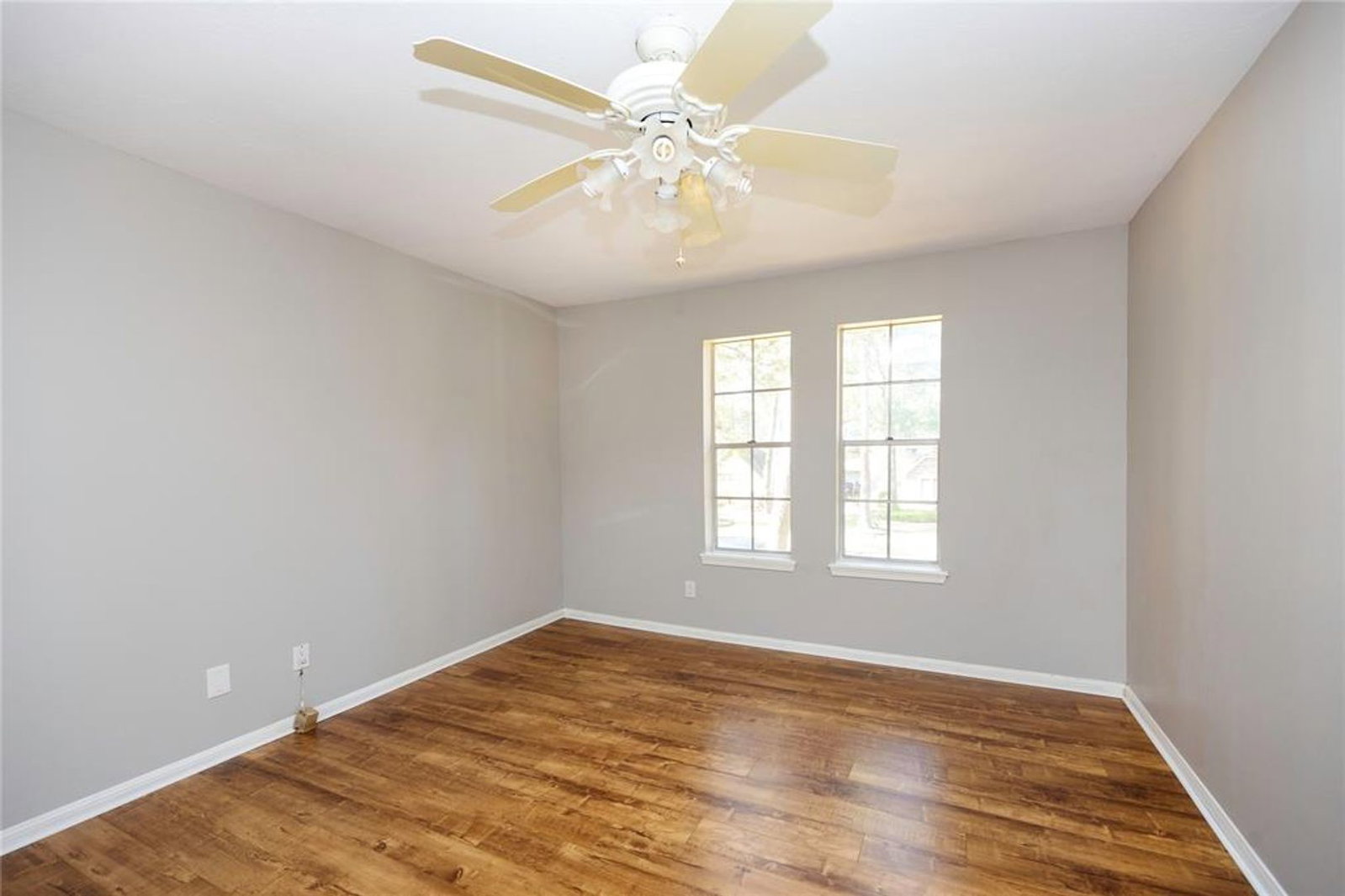 Gallery Image 17