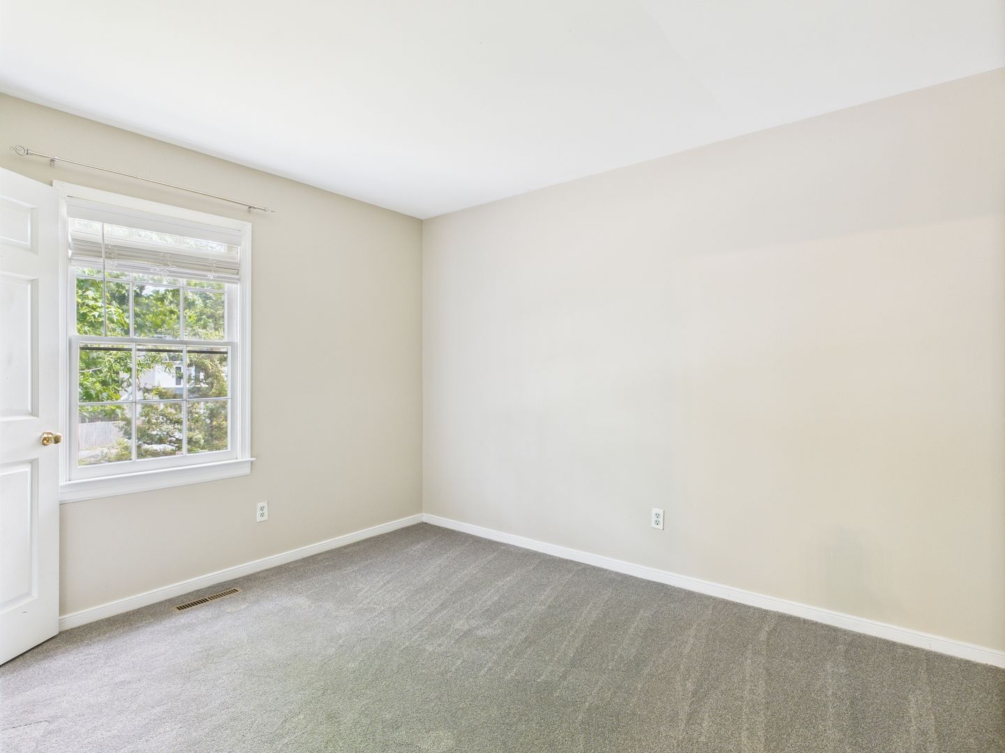 Gallery Image 19