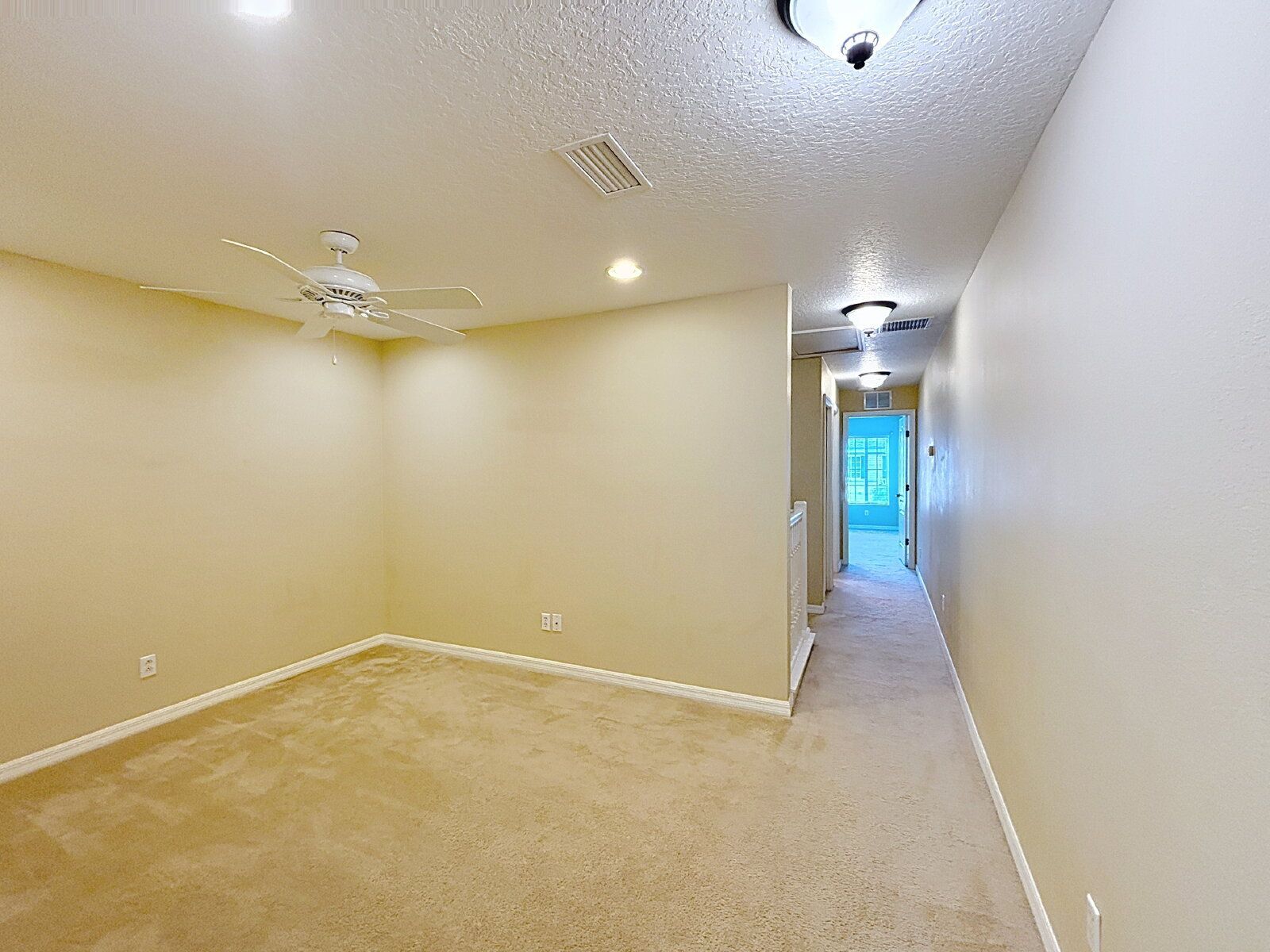 Gallery Image 20