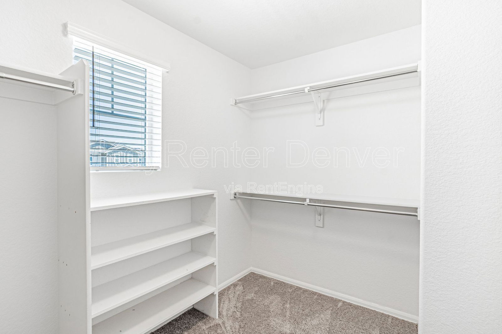Gallery Image 66