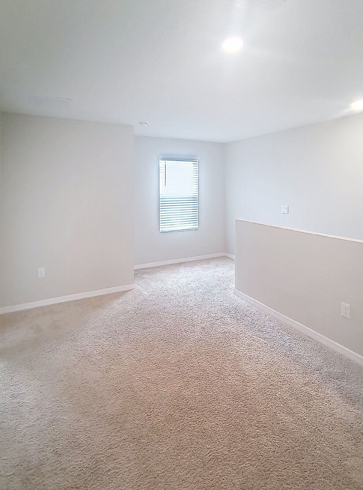 Gallery Image 30