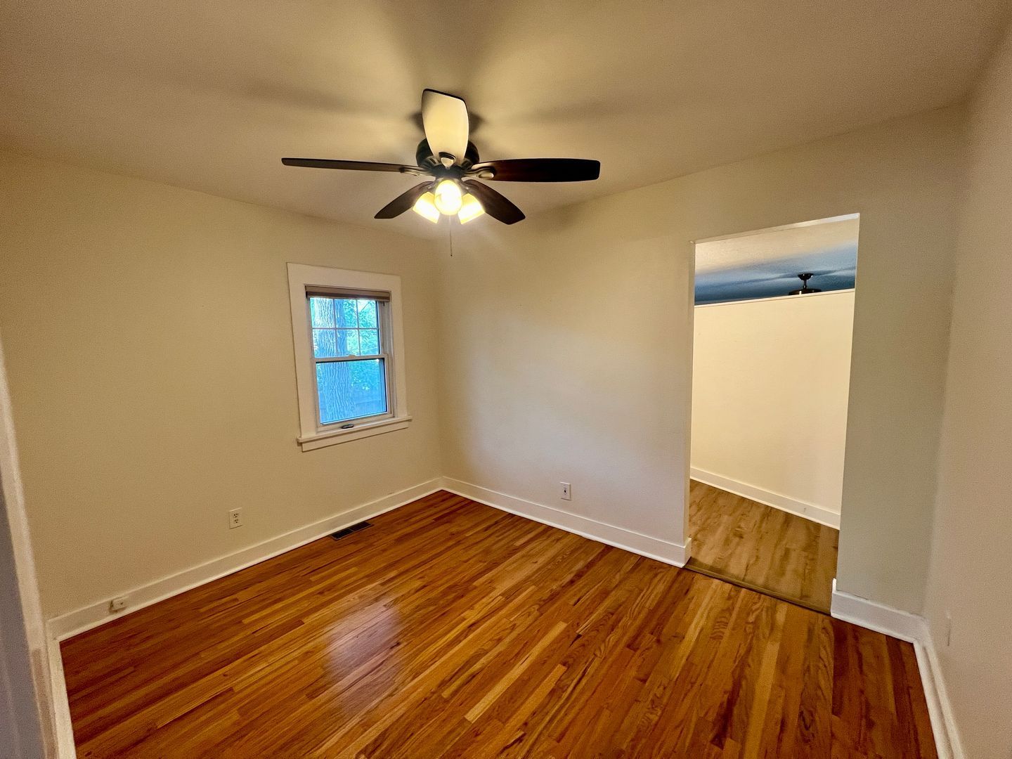 Gallery Image 15