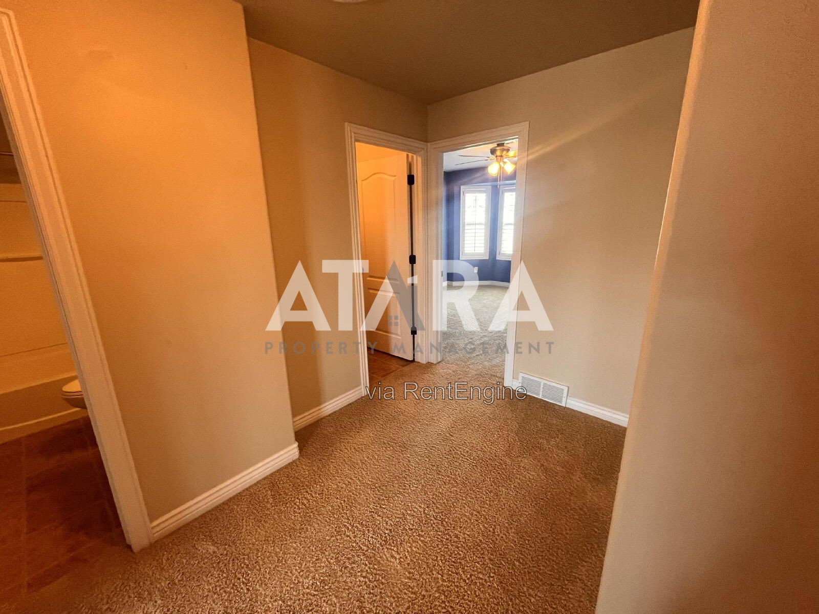 Gallery Image 19