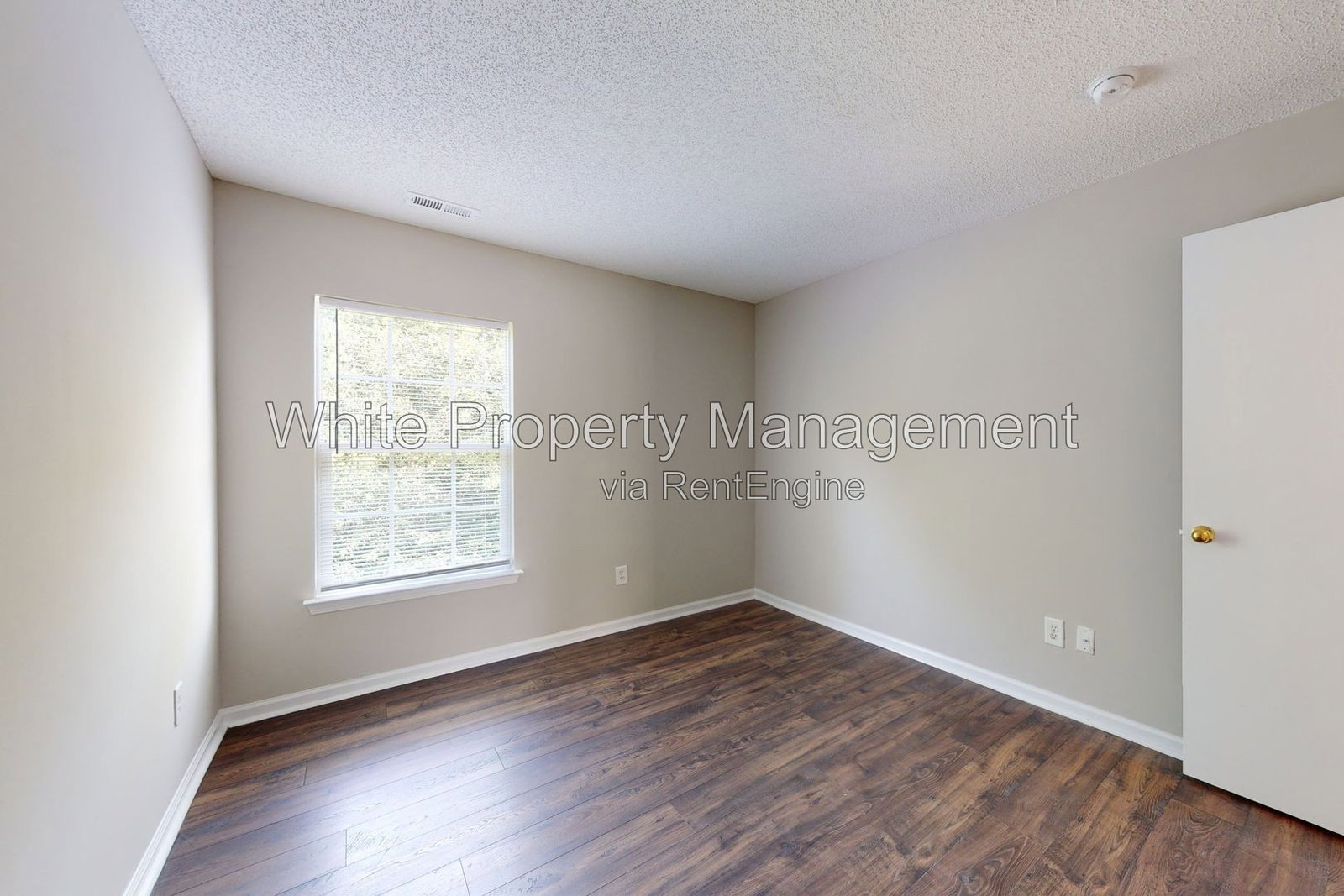 Gallery Image 18