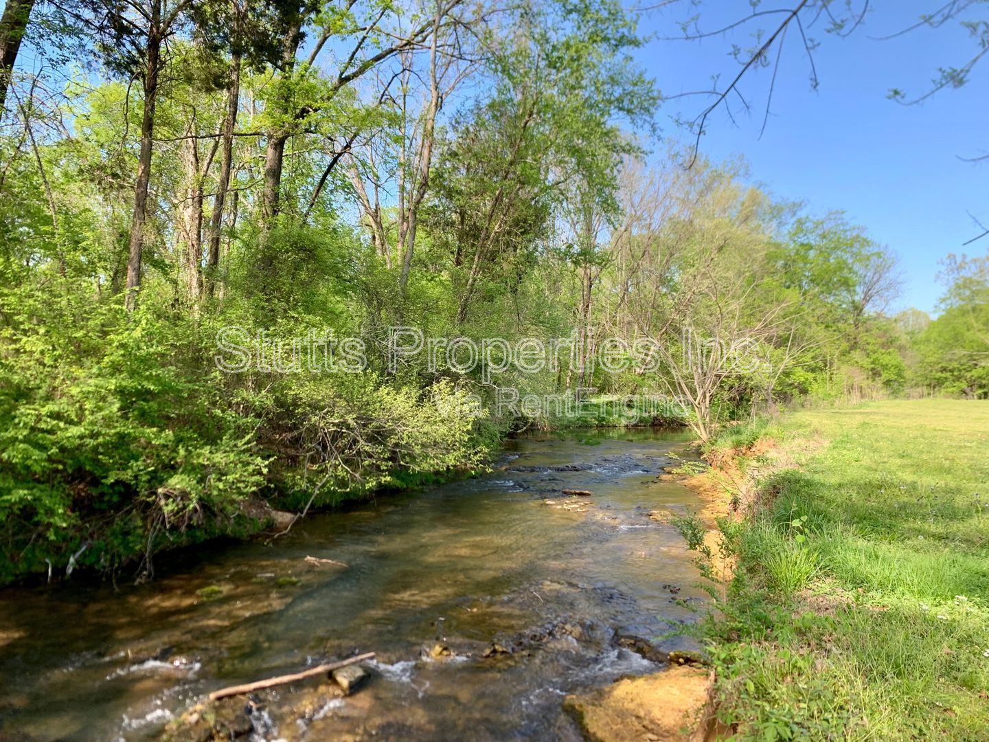 Gallery Image 12