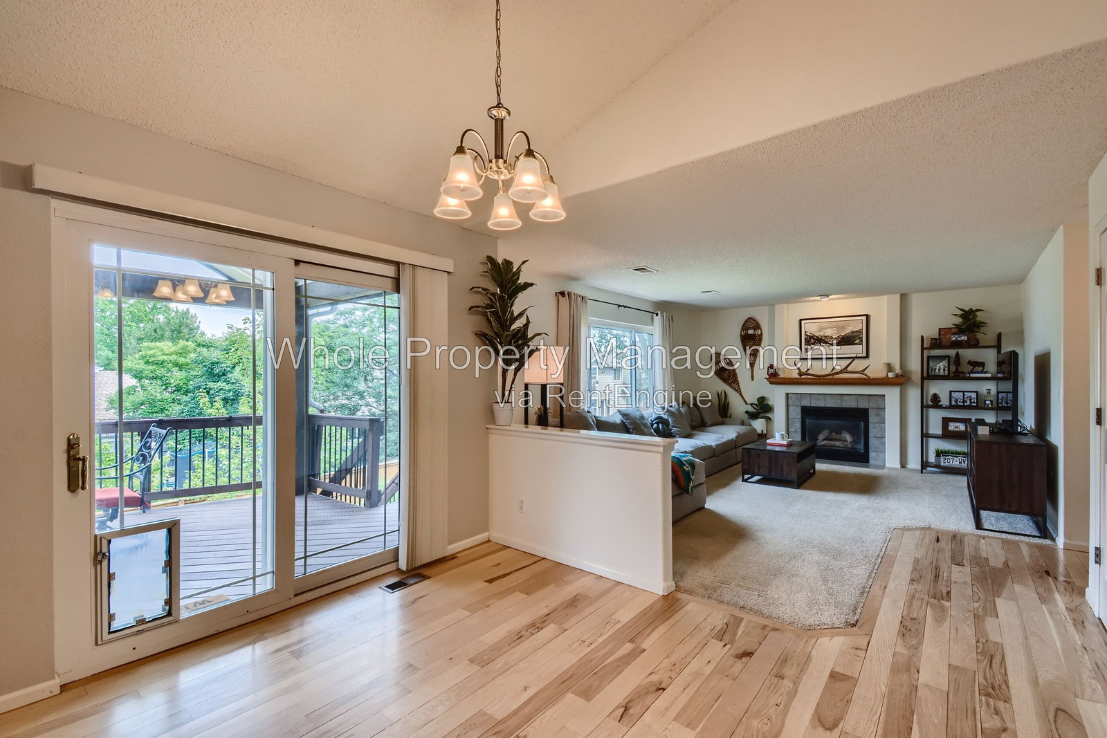 Gallery Image 14