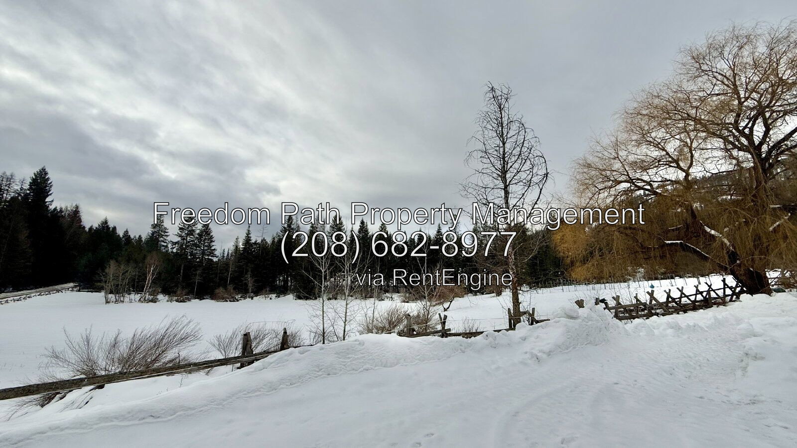 Gallery Image 25