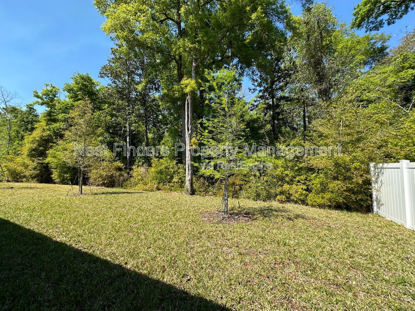 Gallery Image 61