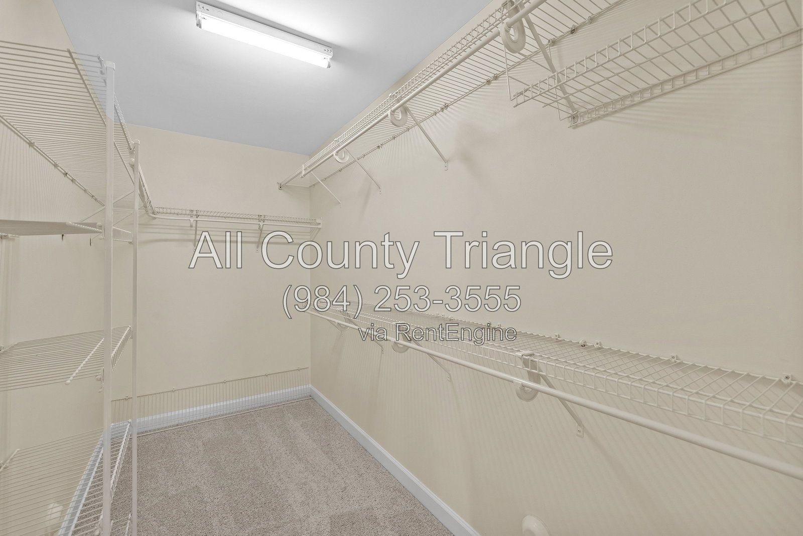 Gallery Image 38
