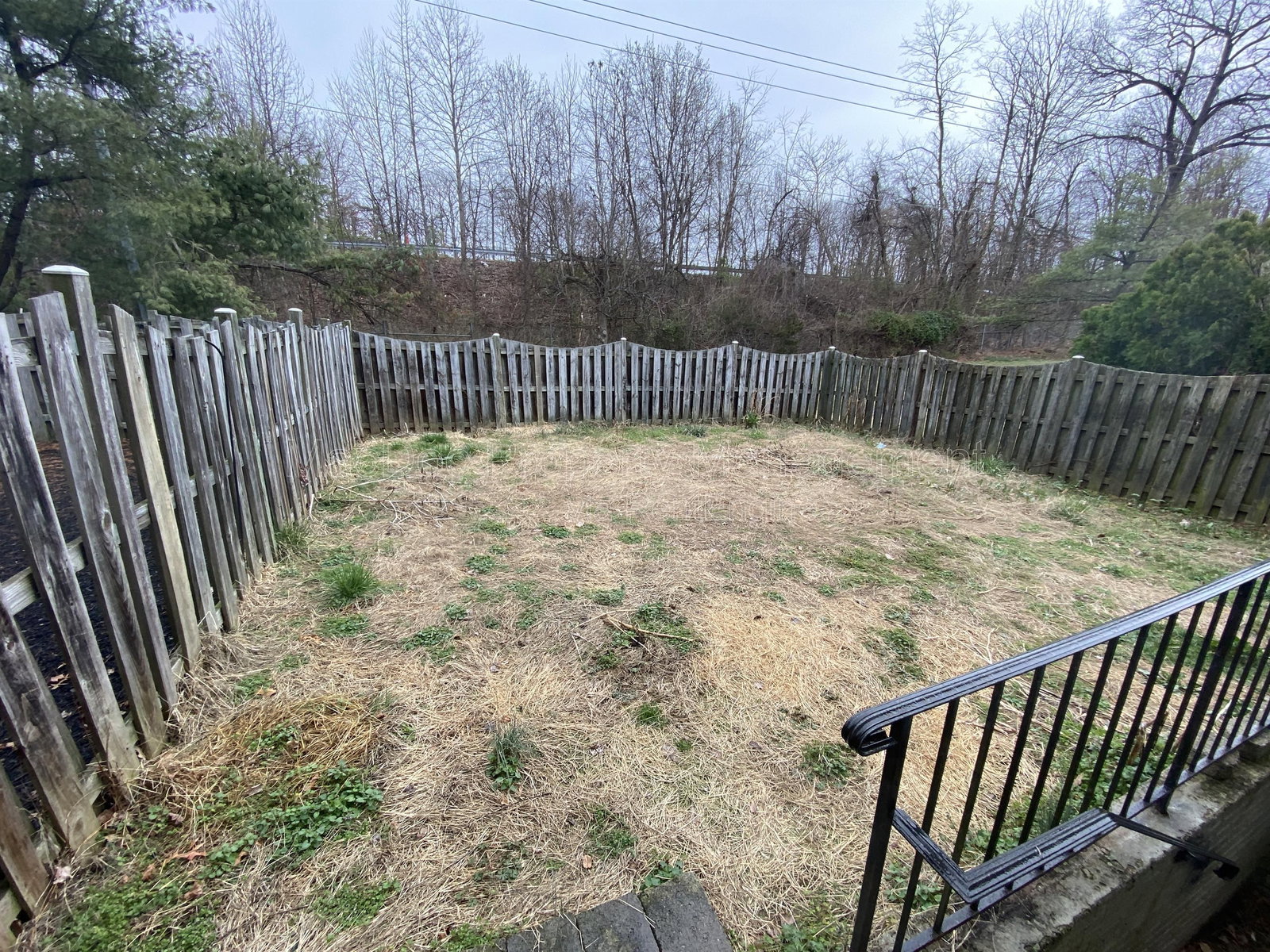Gallery Image 37