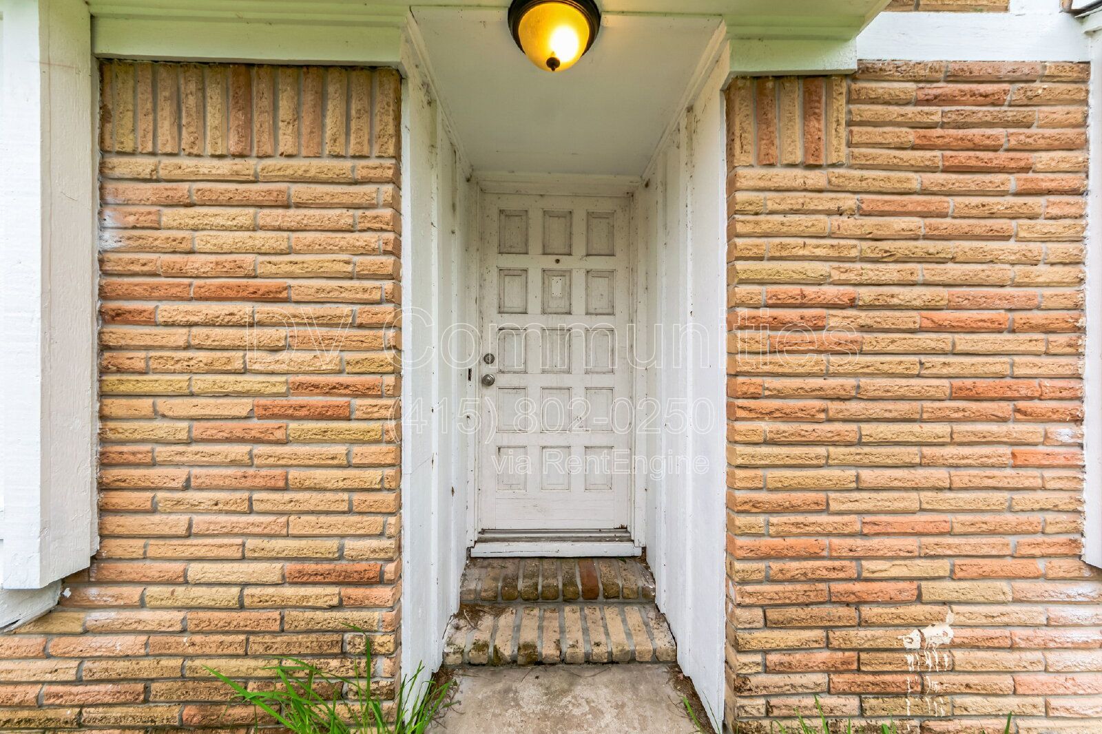 Gallery Image 8