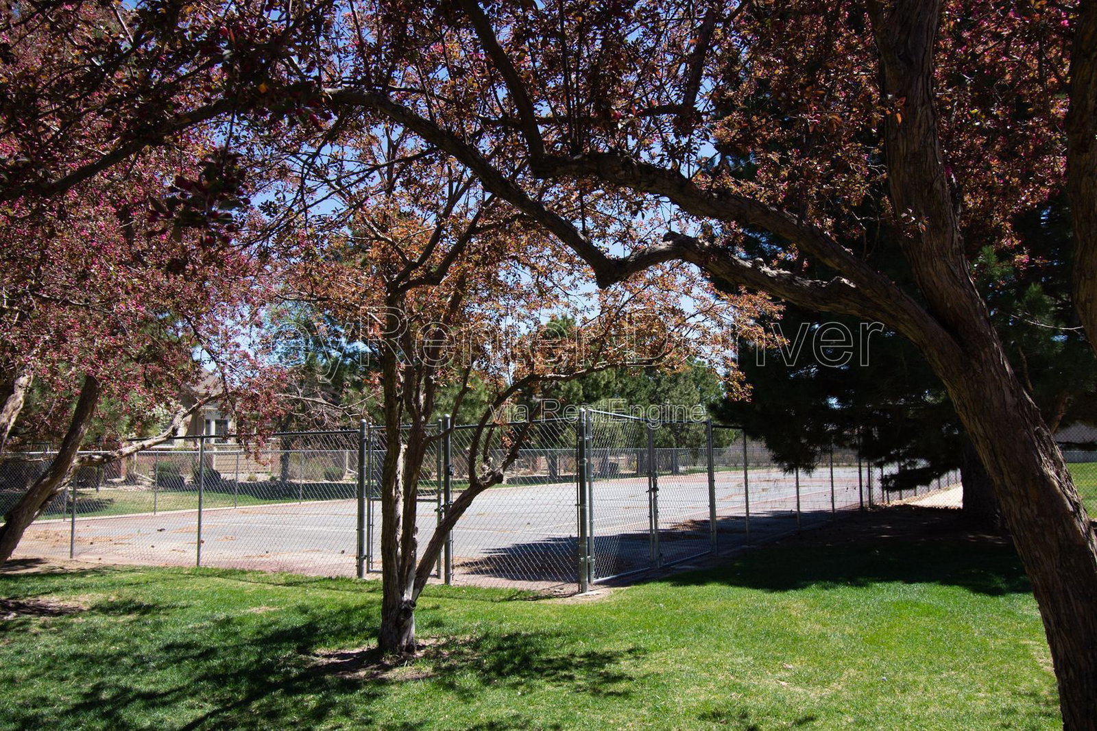 Gallery Image 38