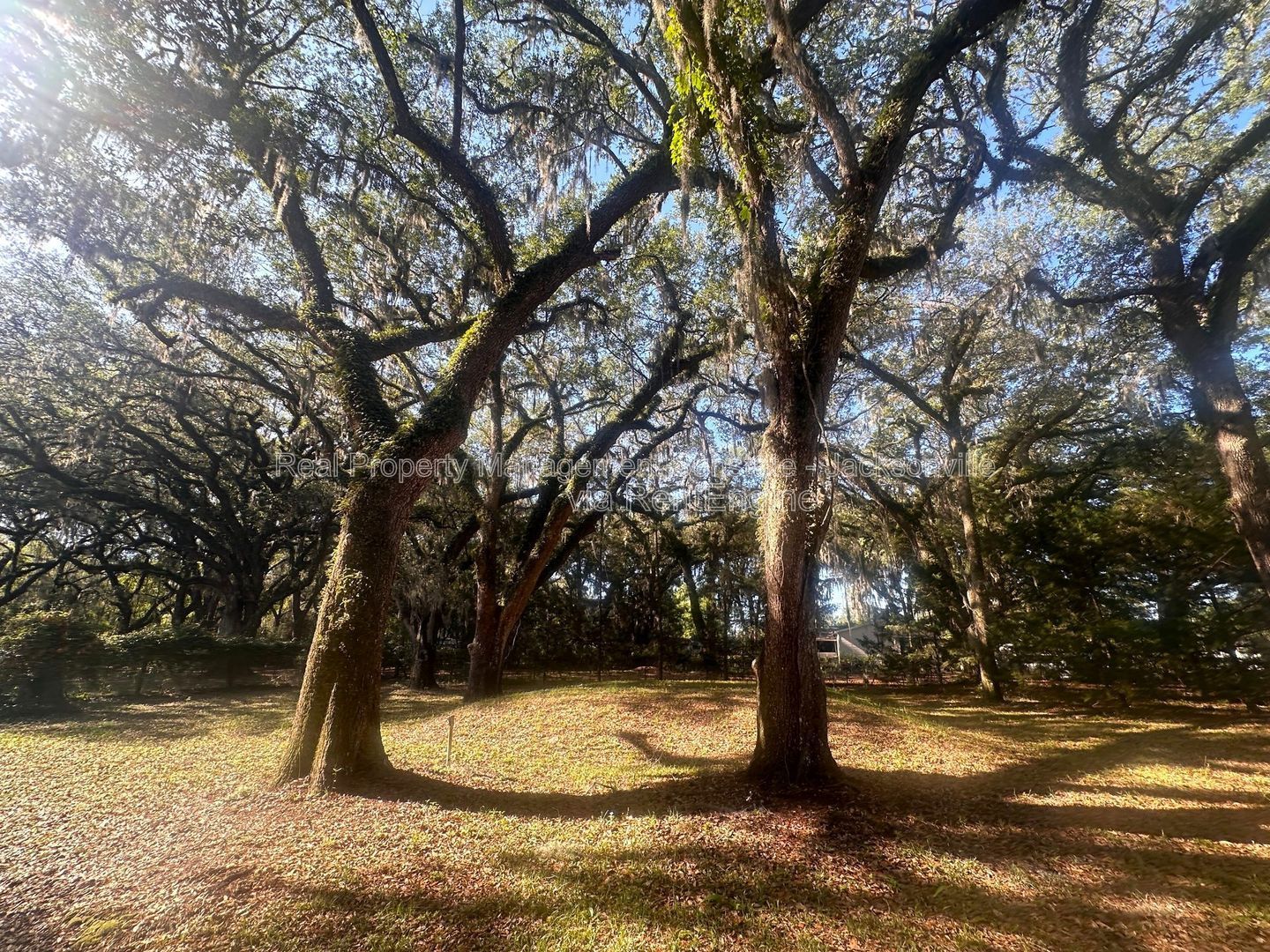 Gallery Image 29