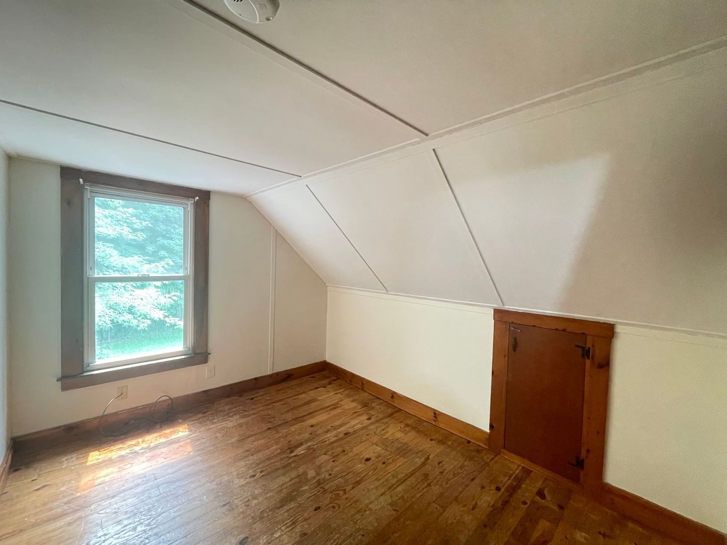 Gallery Image 15