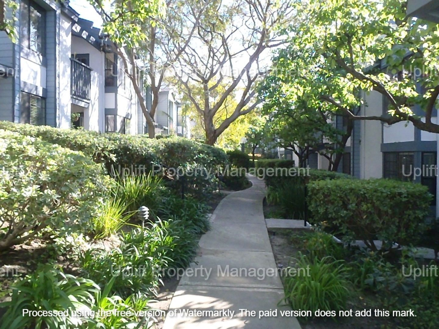 Gallery Image 15