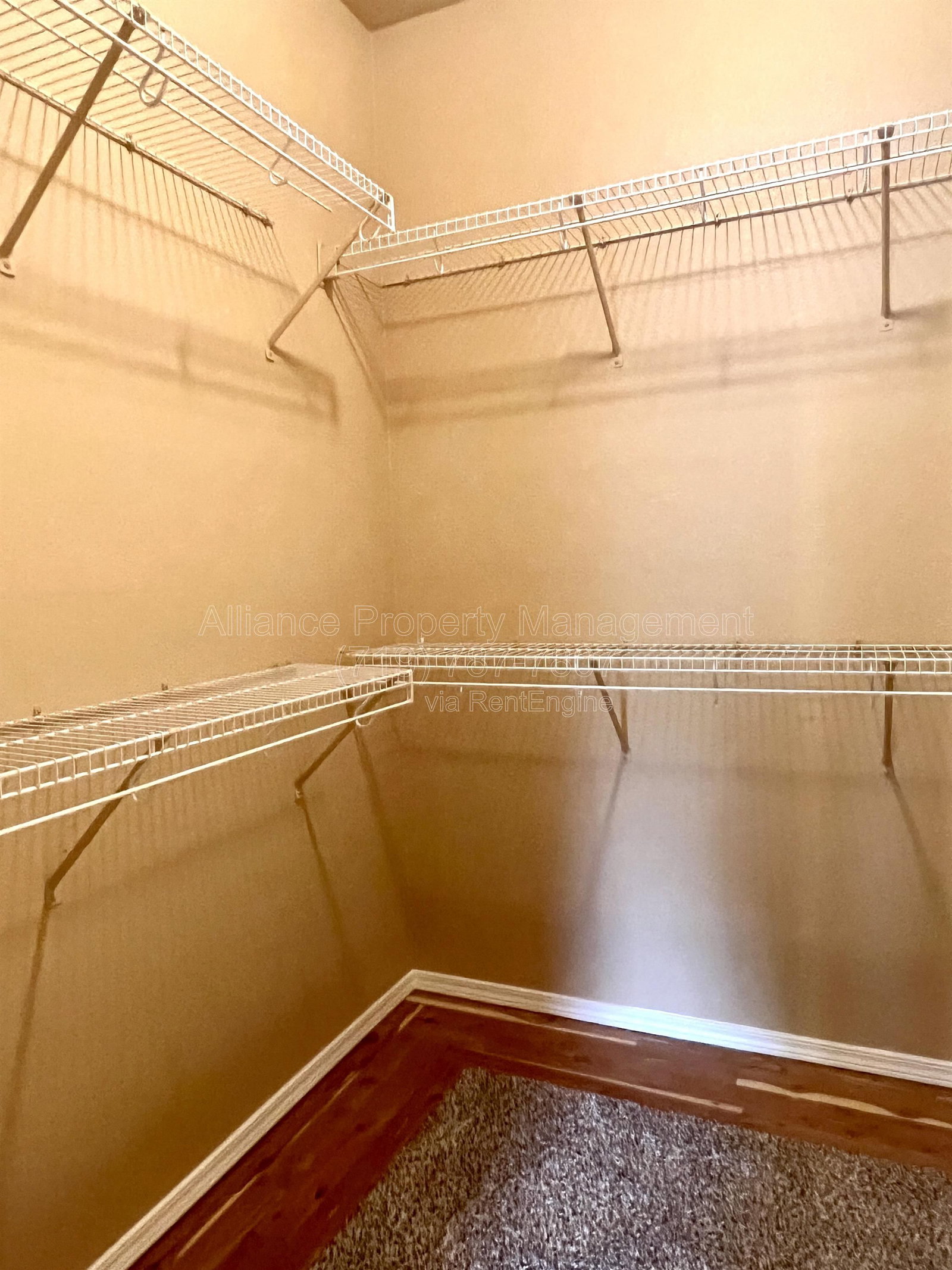 Gallery Image 19