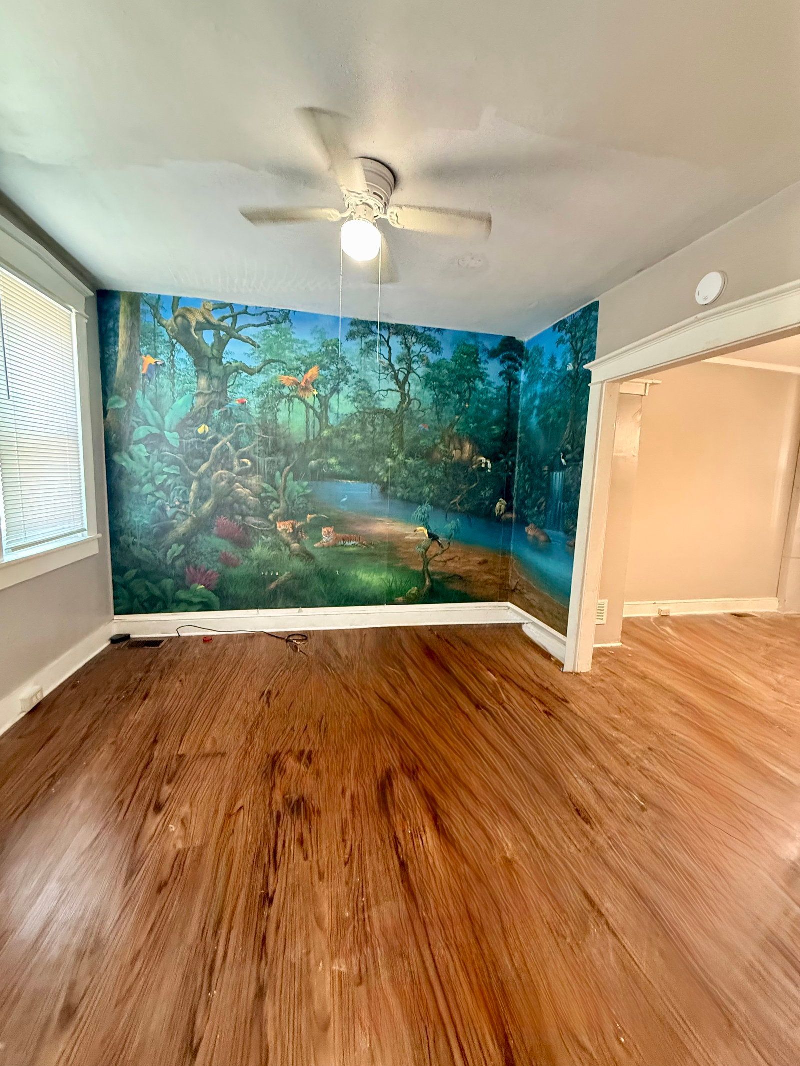 Gallery Image 2