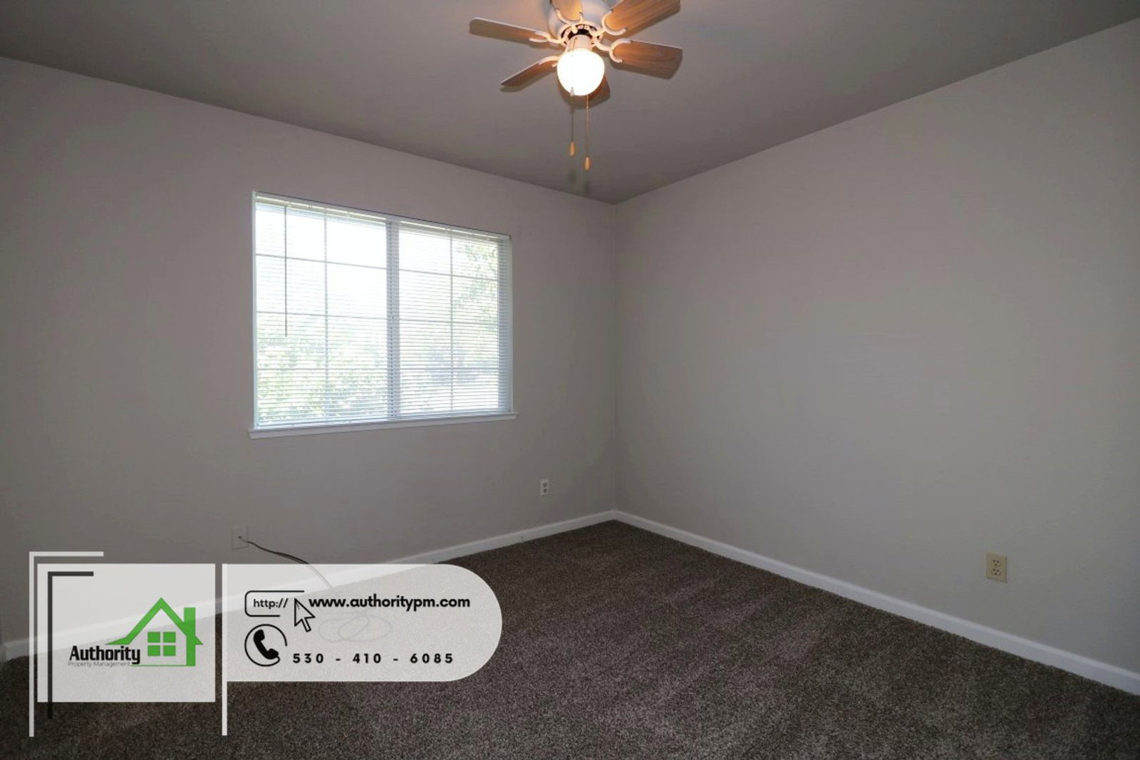 Gallery Image 14