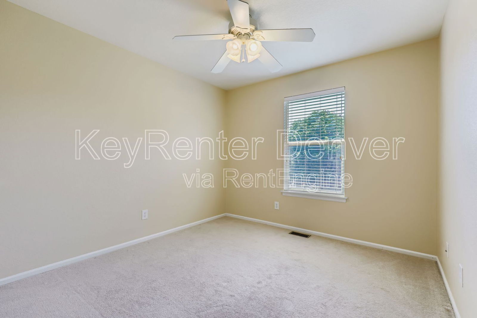 Gallery Image 19