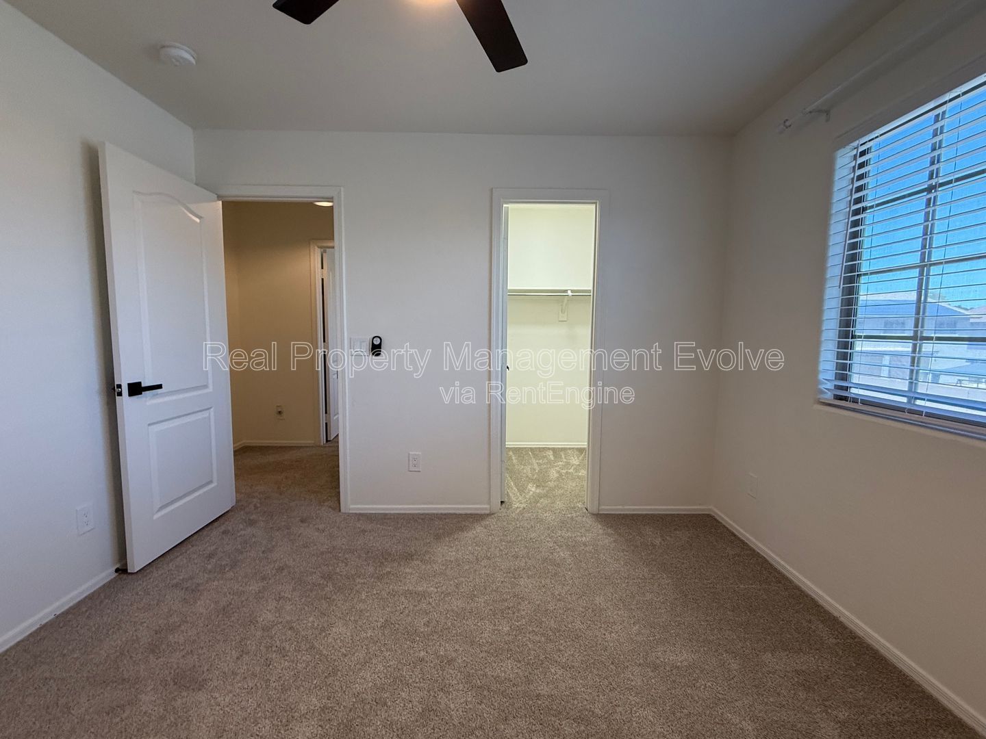Gallery Image 38