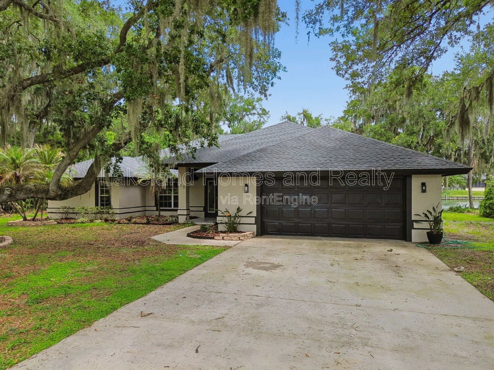 Gallery Image 0