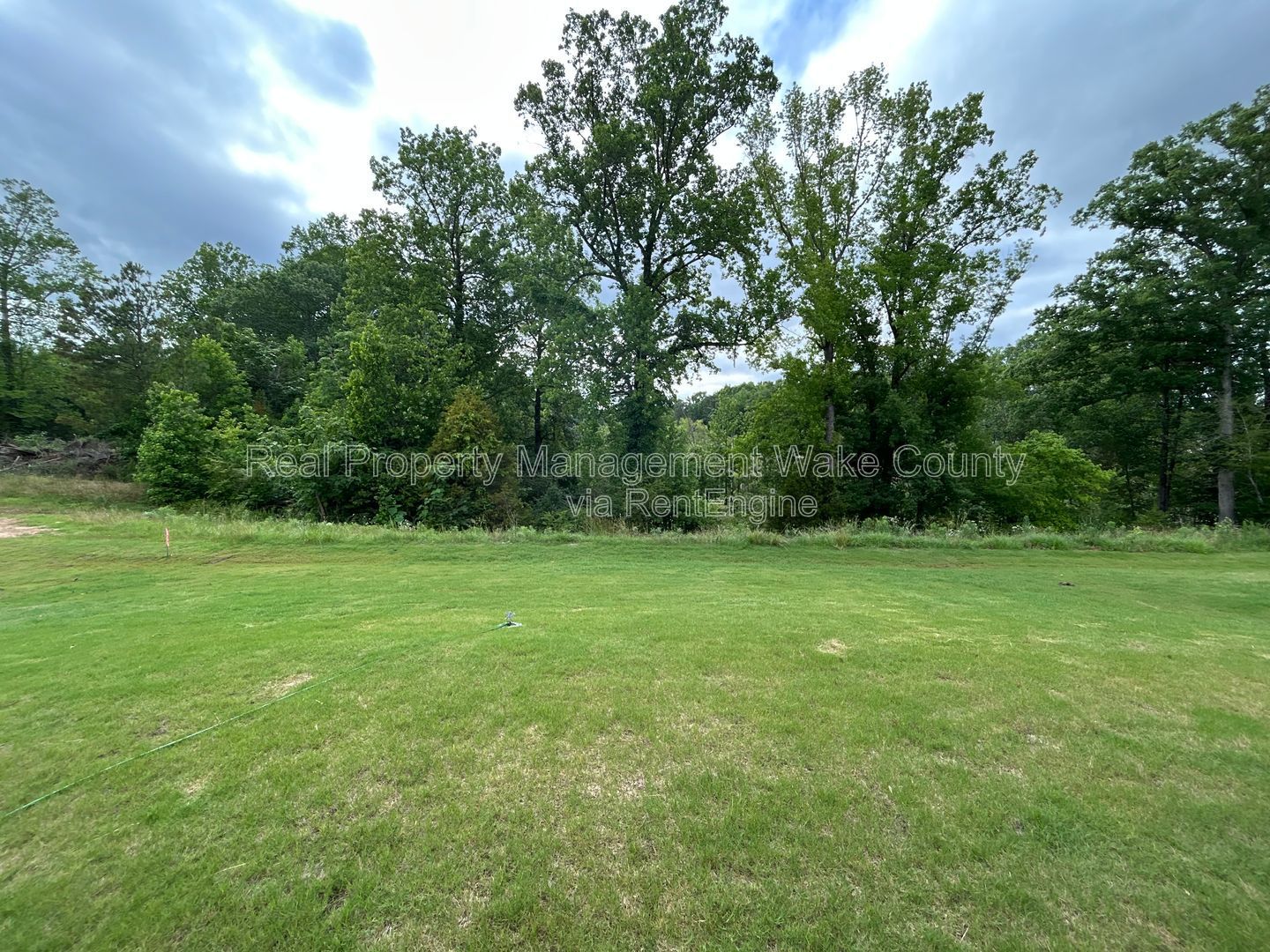 Gallery Image 52