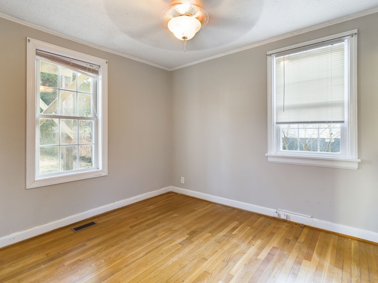 Gallery Image 19