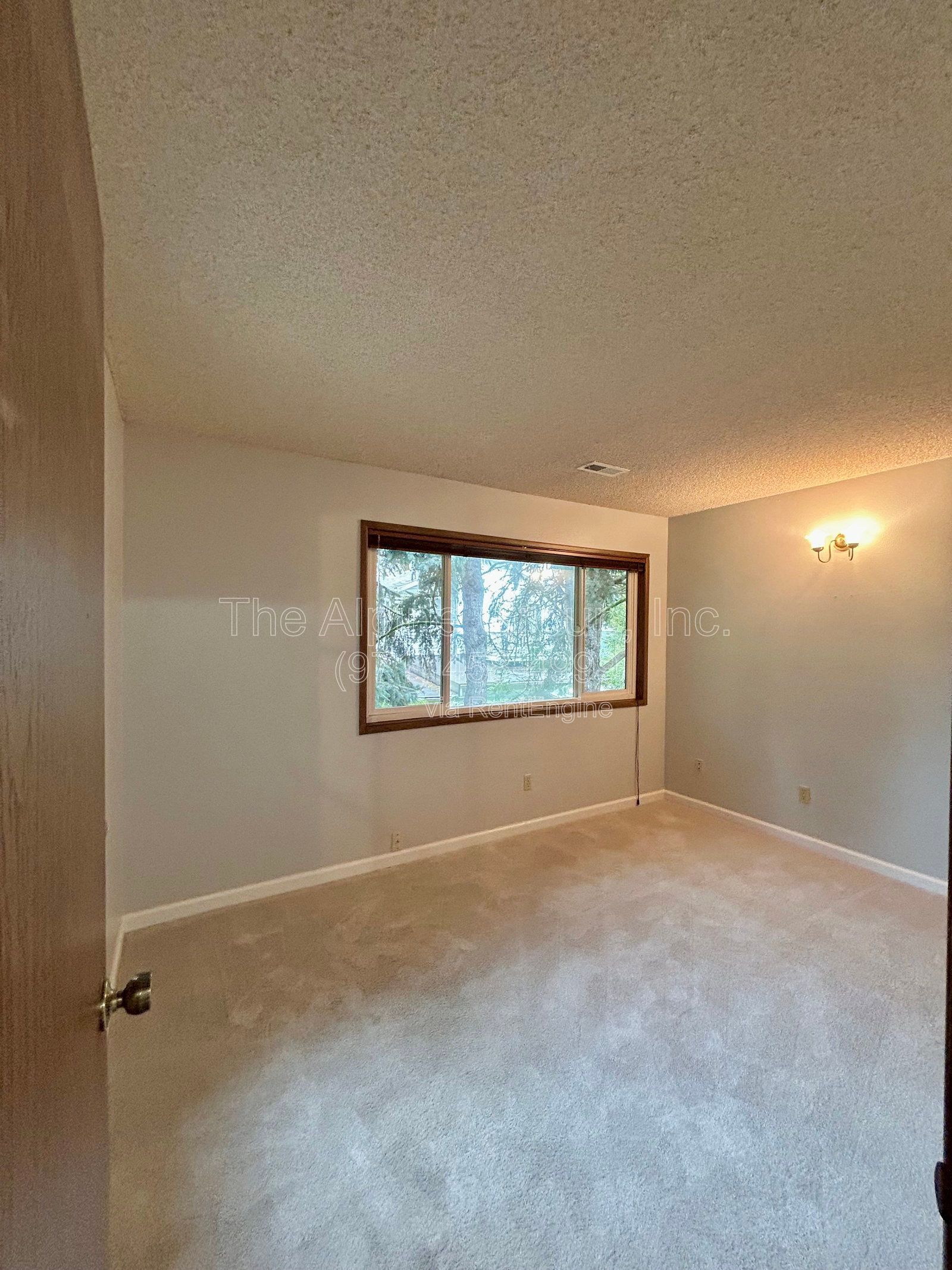 Gallery Image 38