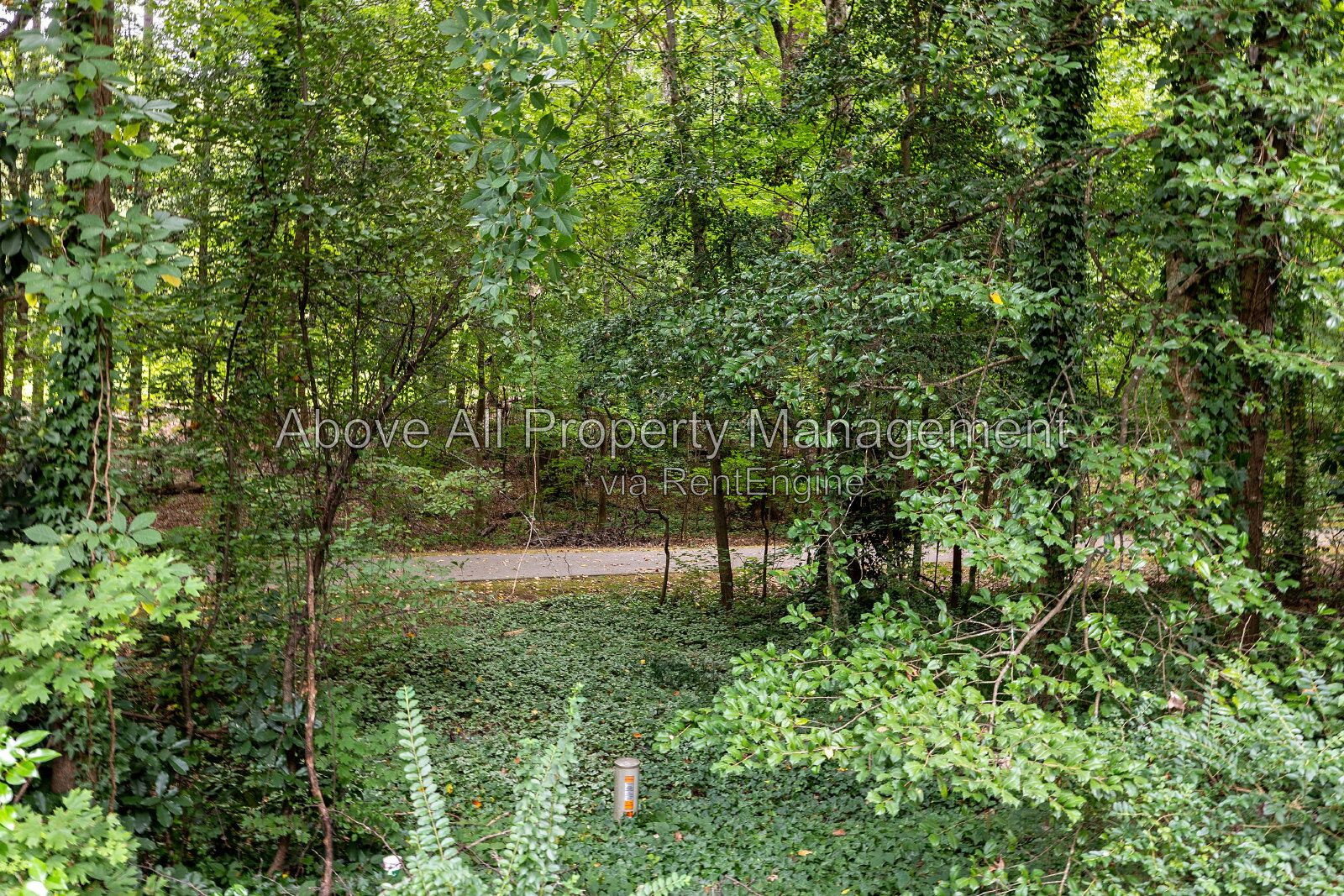 Gallery Image 40