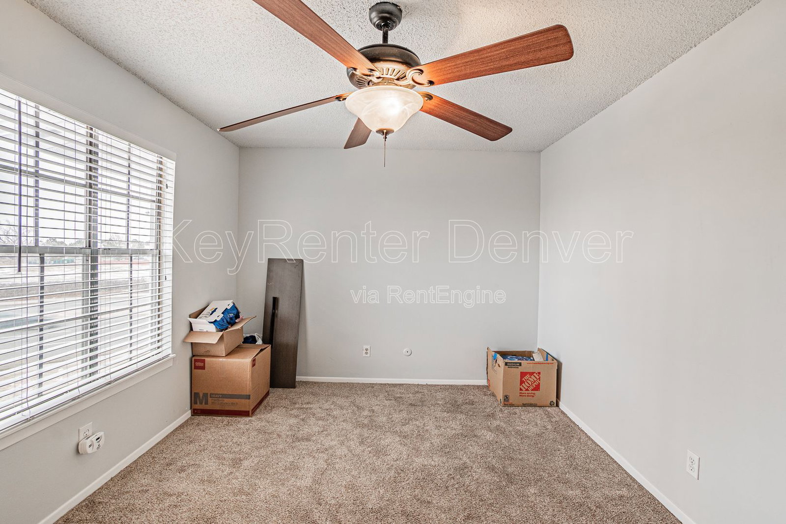Gallery Image 33