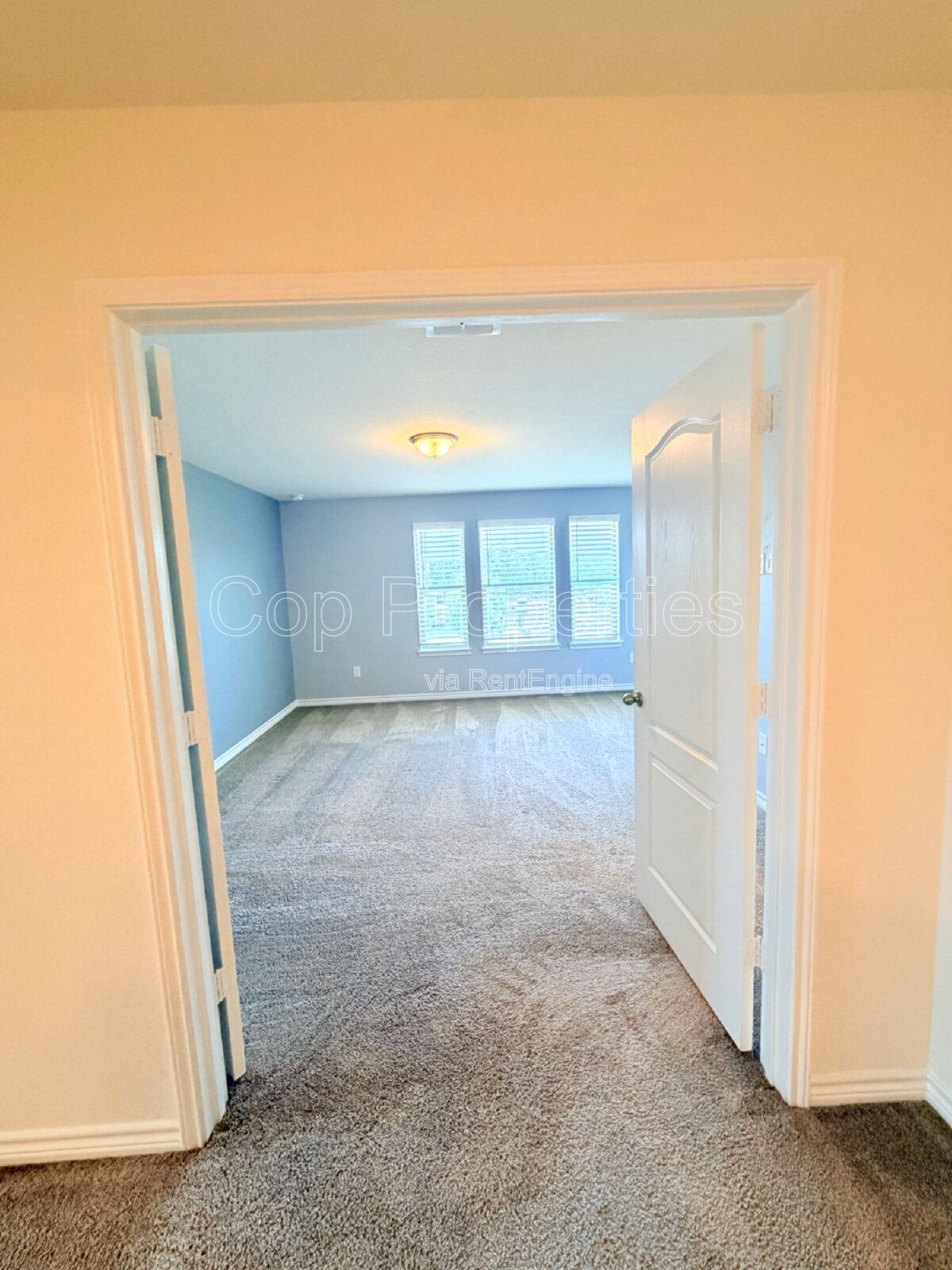 Gallery Image 16