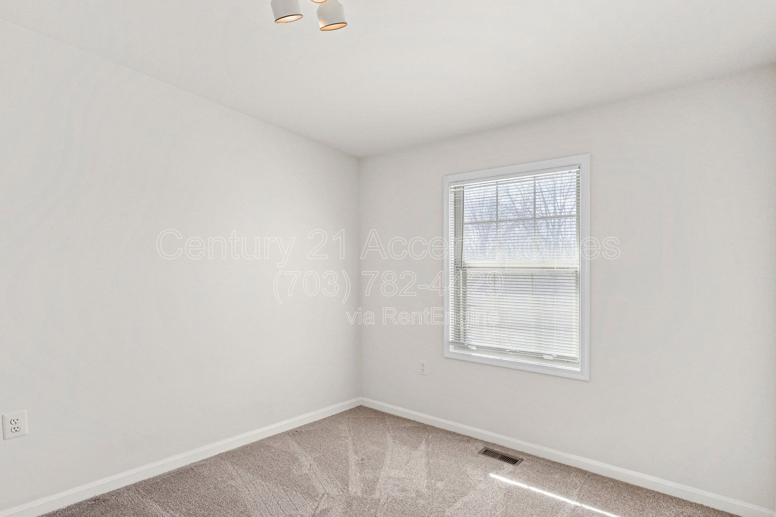 Gallery Image 35