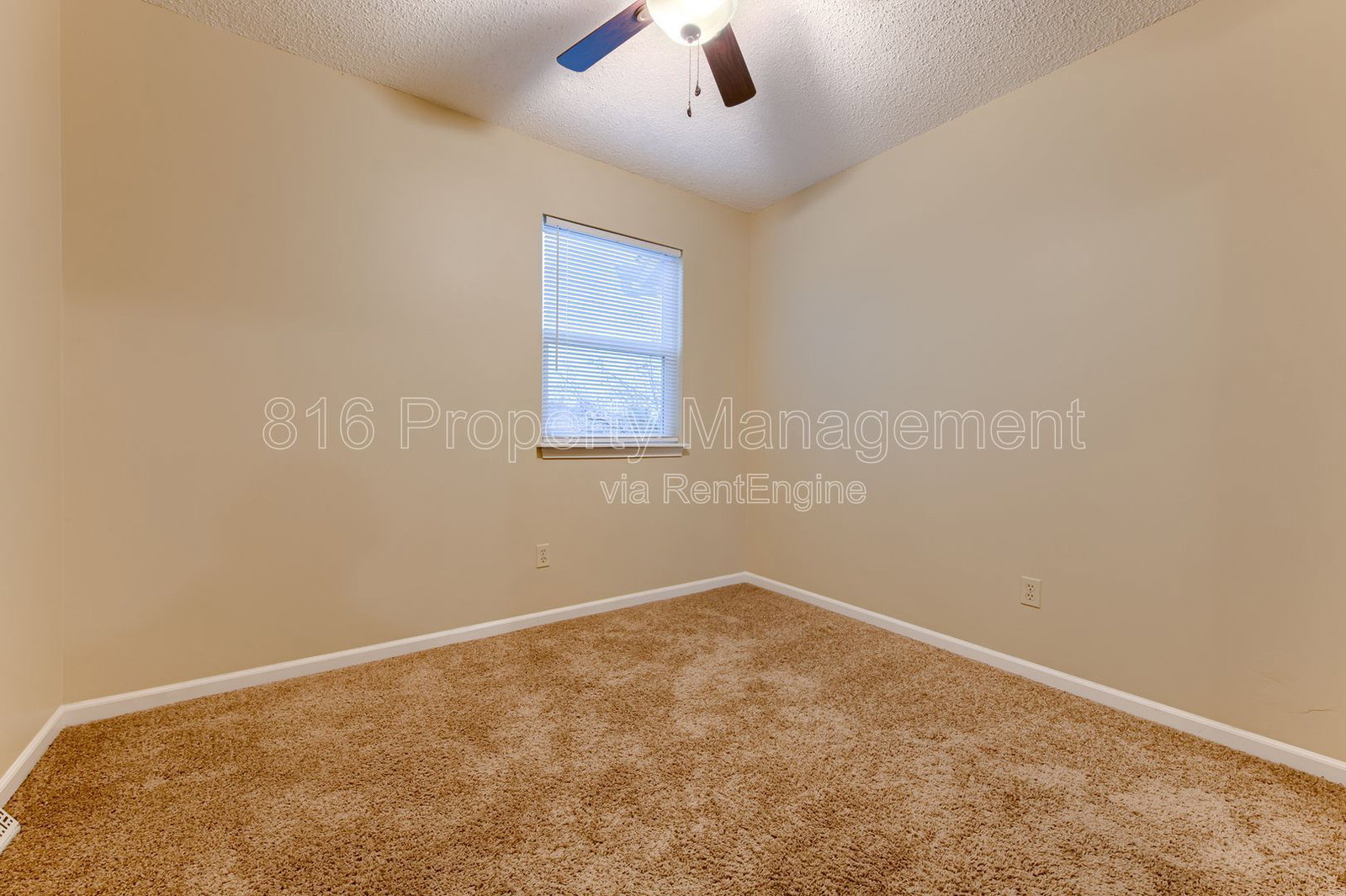 Gallery Image 42