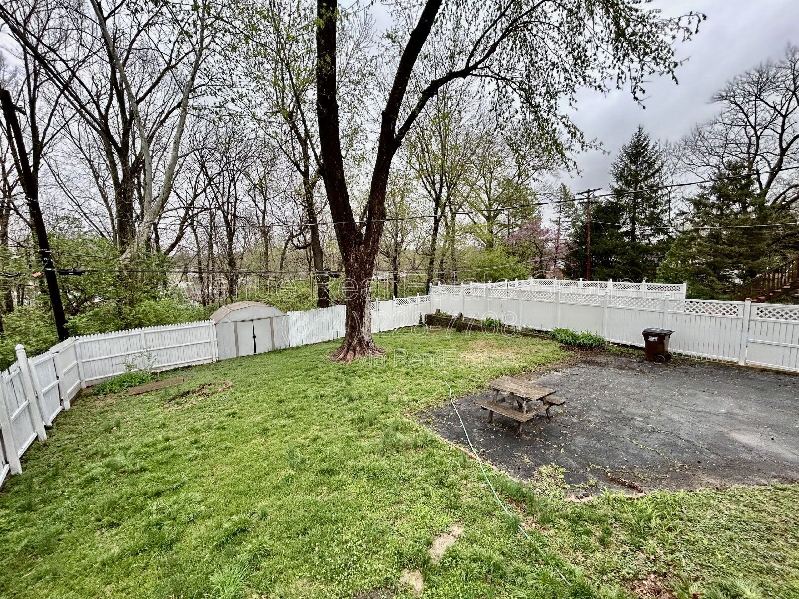 Gallery Image 16