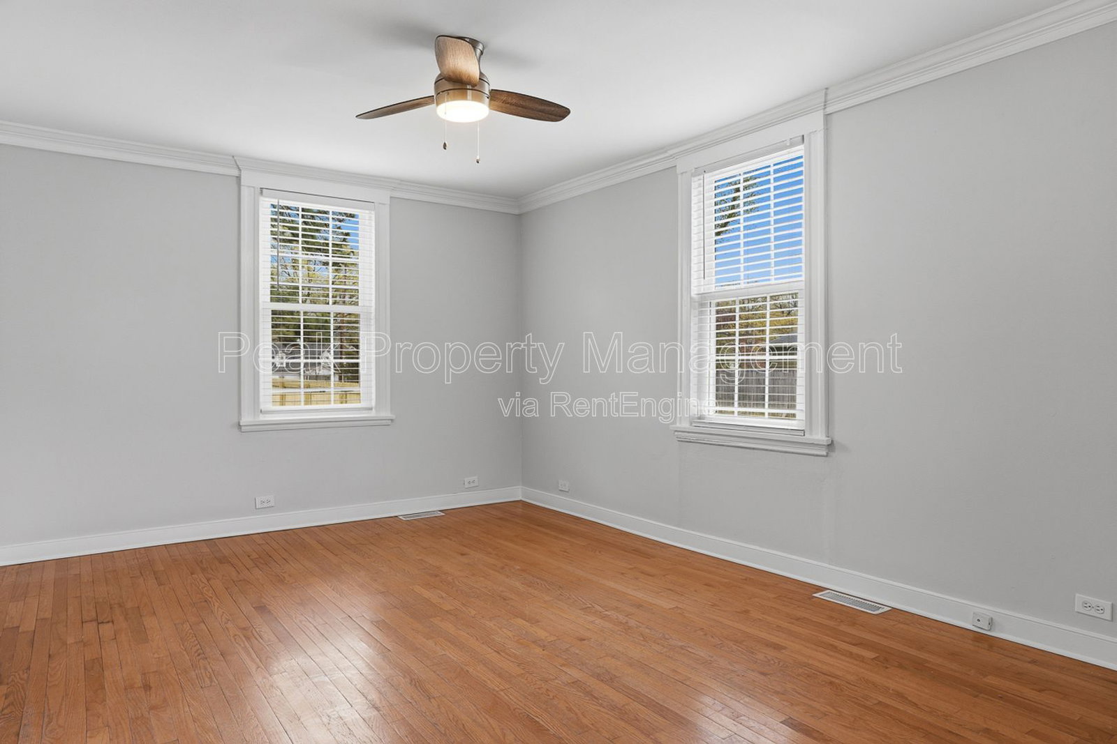 Gallery Image 16