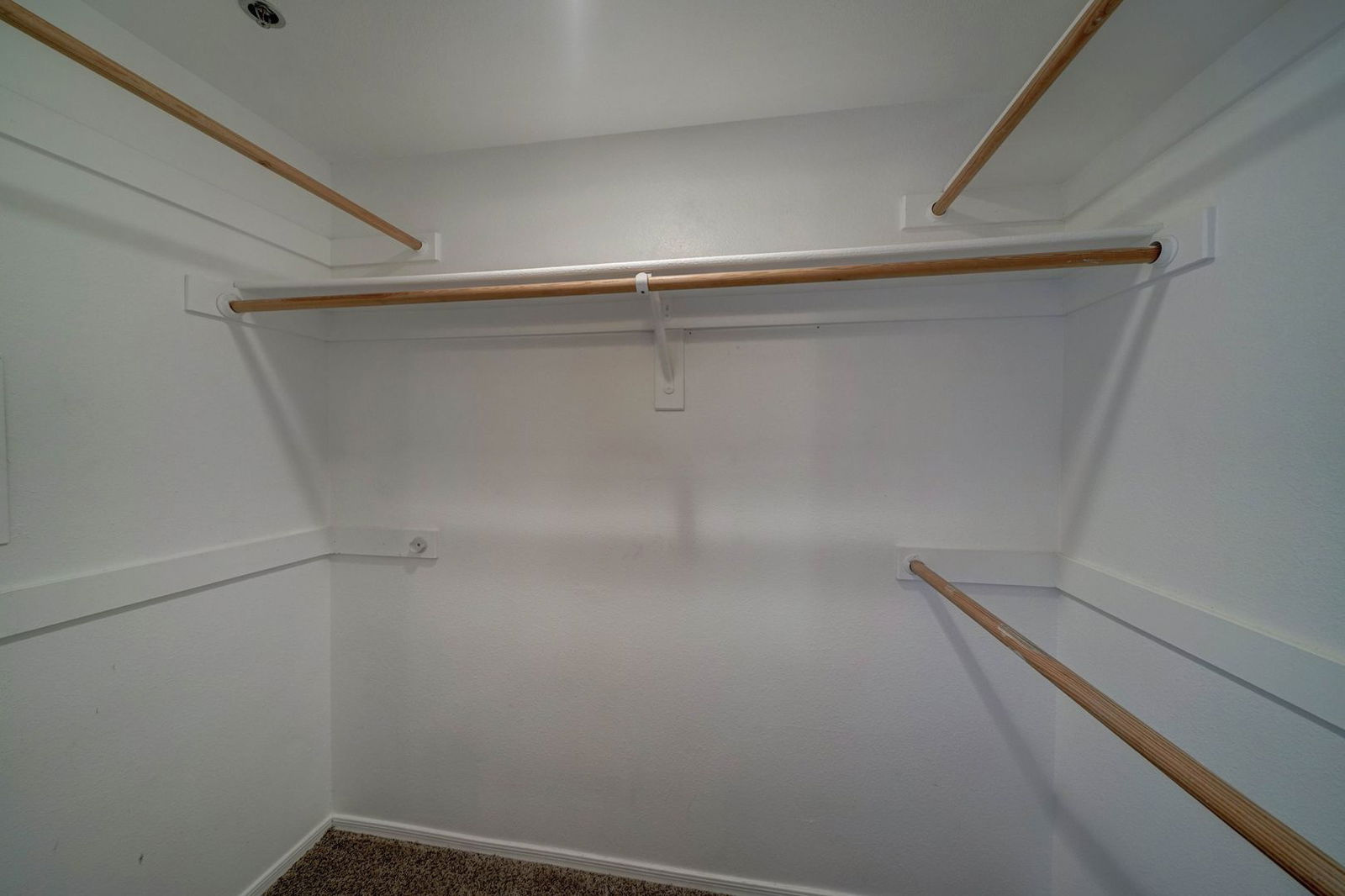 Gallery Image 19
