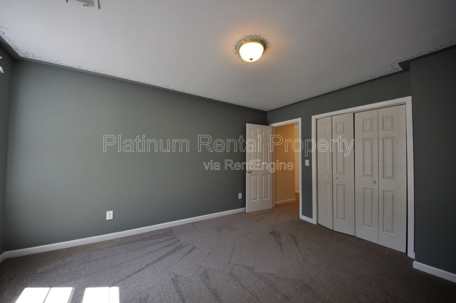 Gallery Image 19
