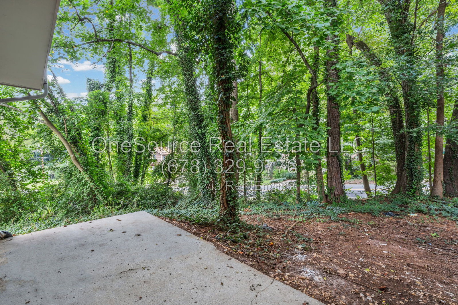 Gallery Image 25