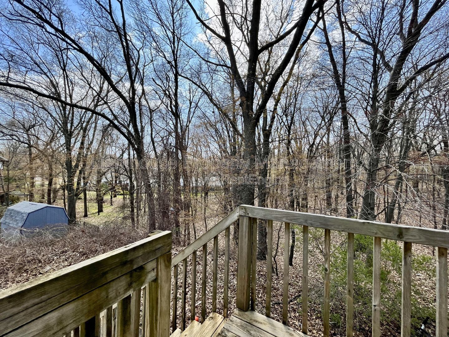 Gallery Image 14