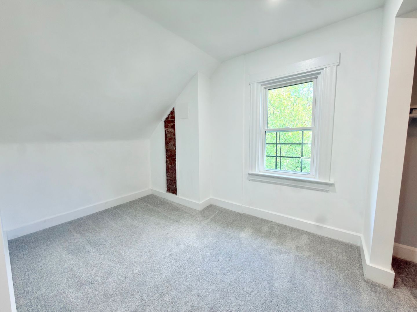 Gallery Image 0