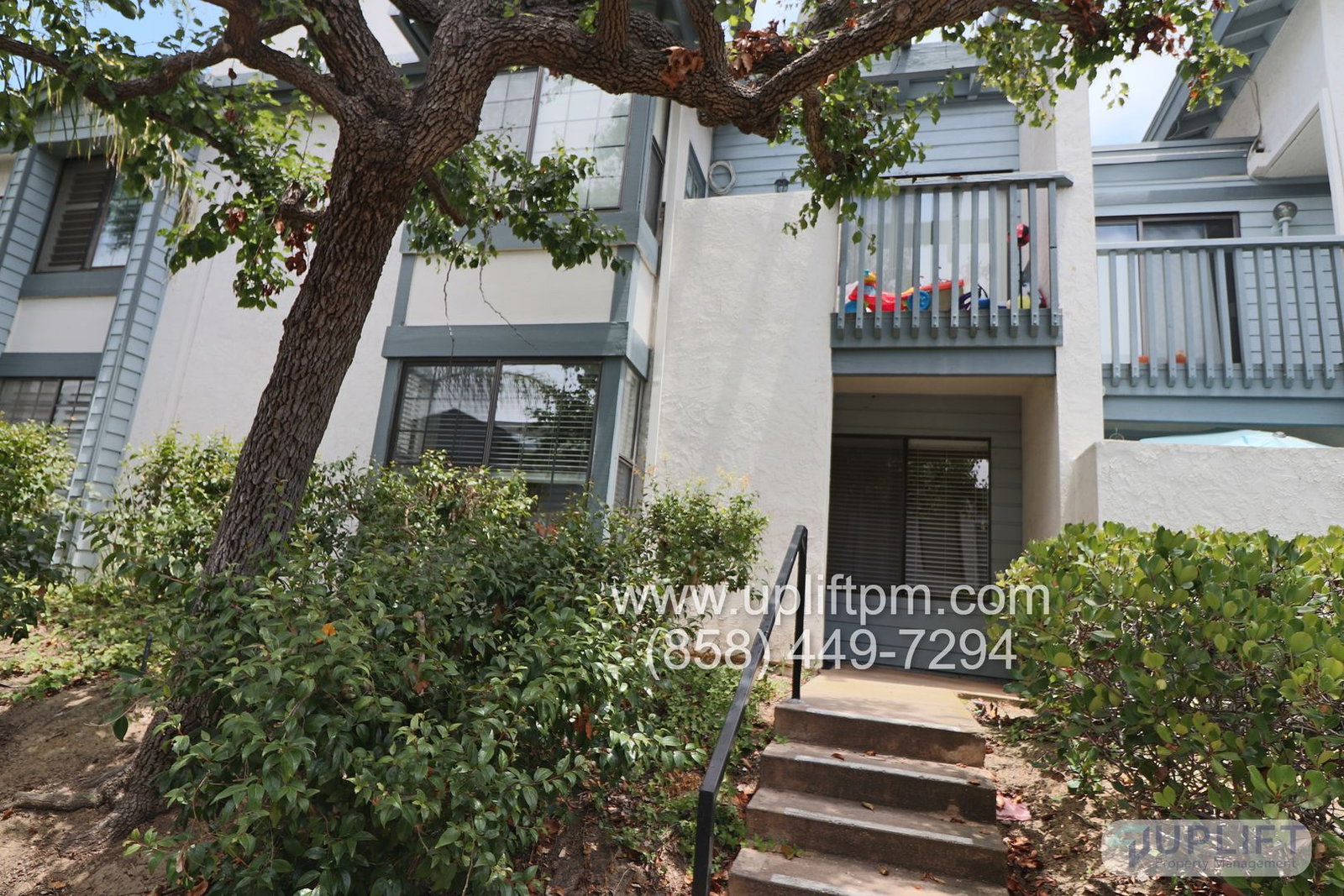 Gallery Image 0
