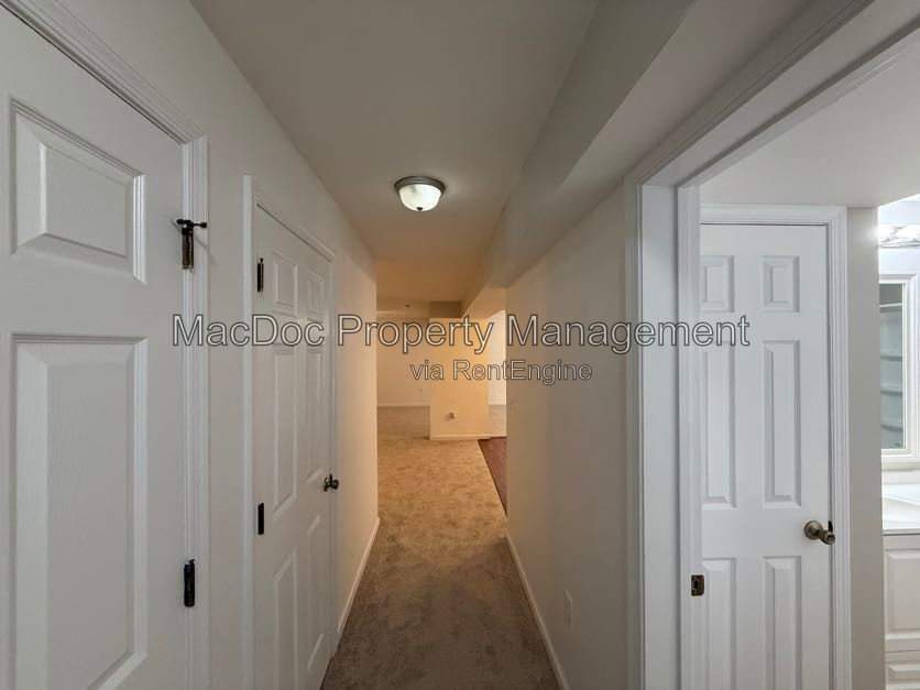 Gallery Image 77