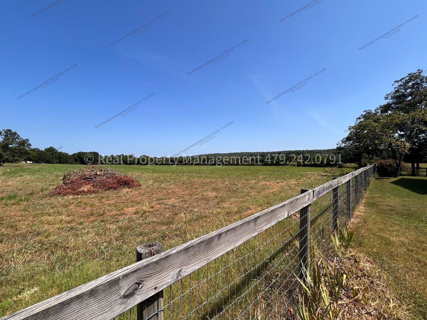 Gallery Image 39