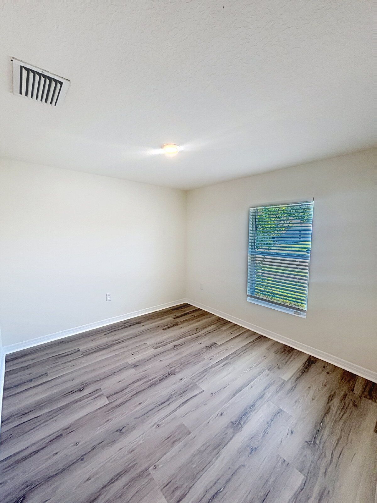 Gallery Image 19