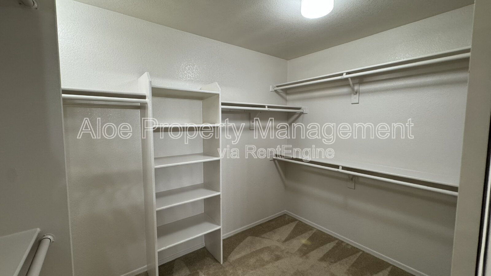 Gallery Image 56