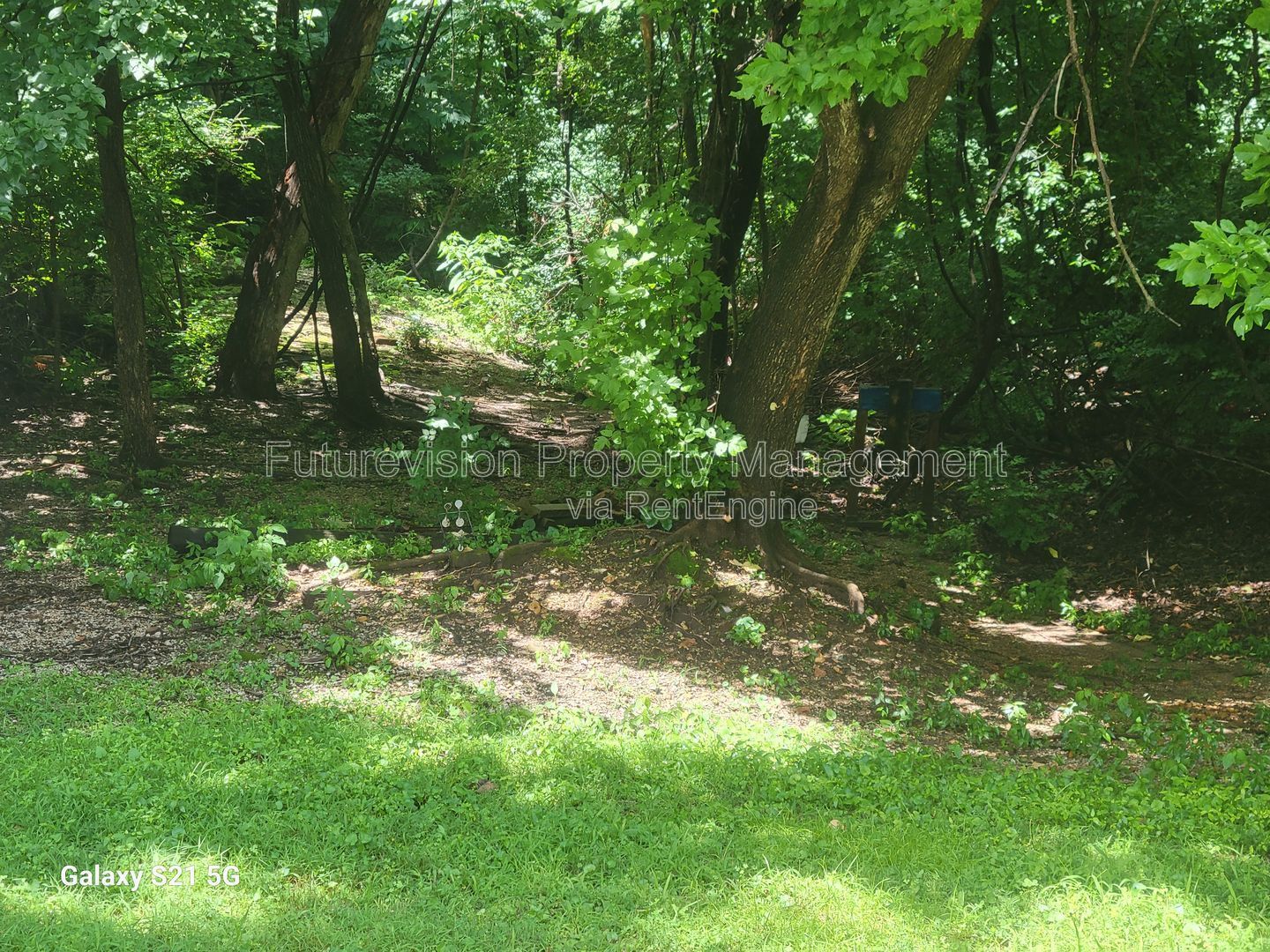 Gallery Image 25